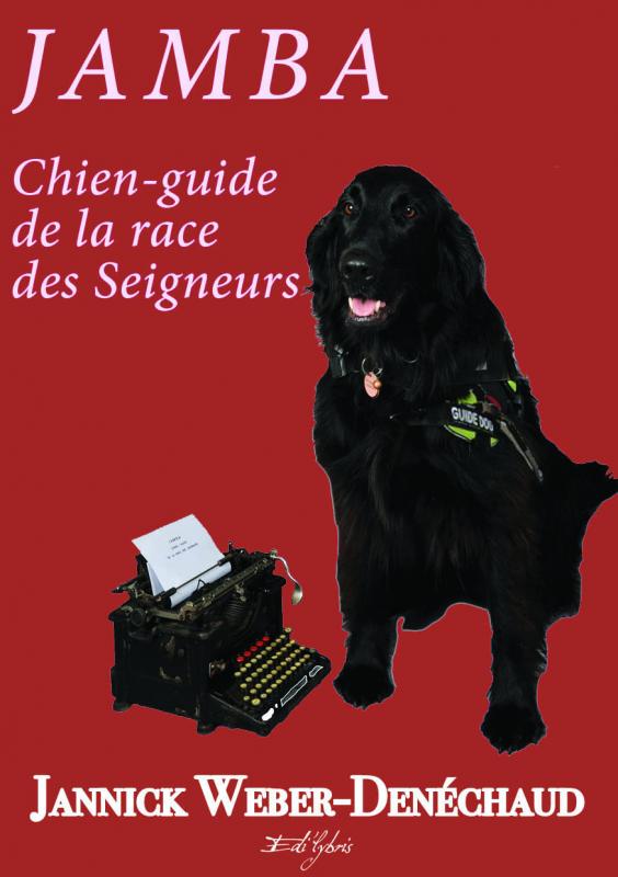 Couverture recto jamba pour internet