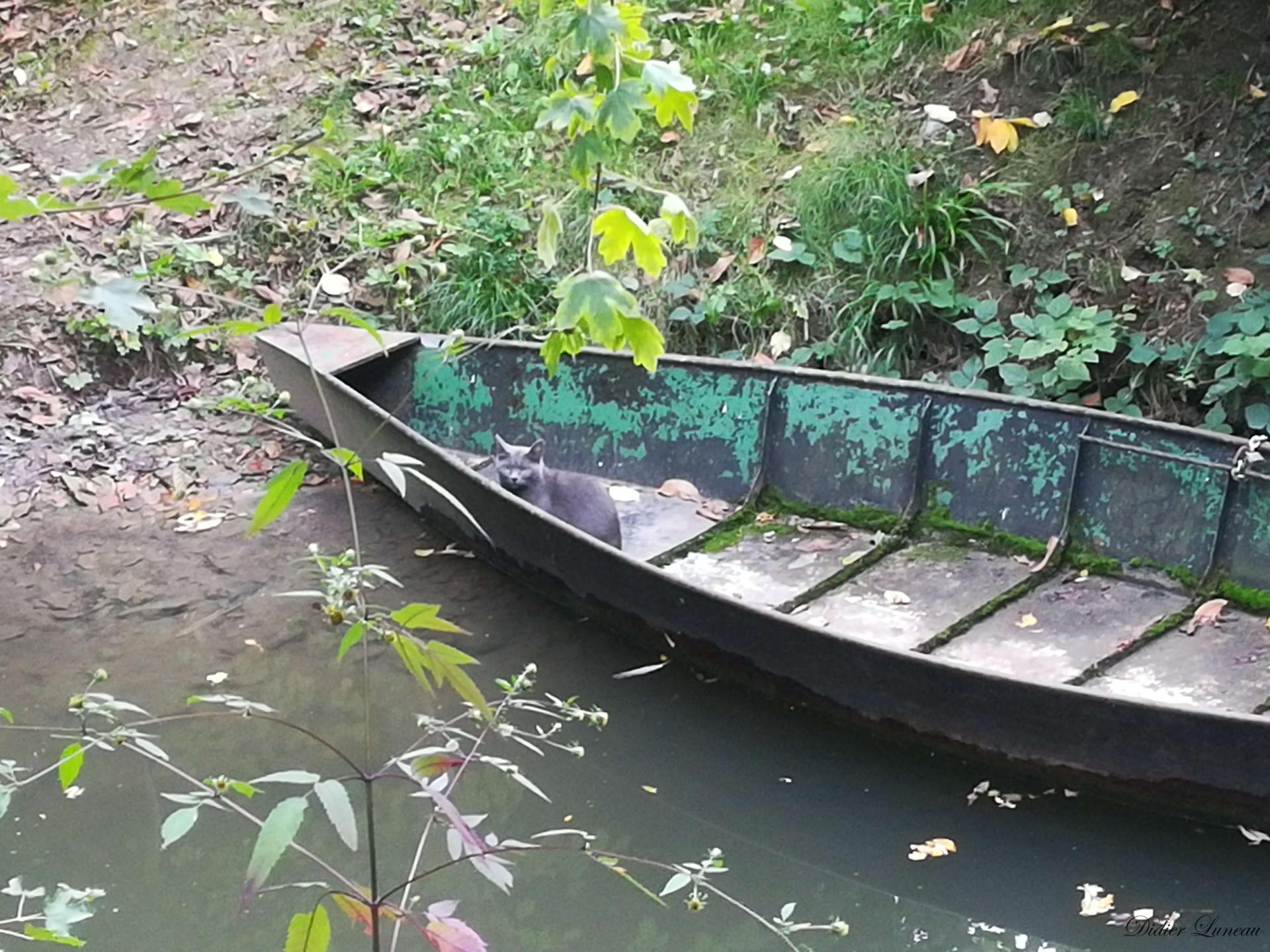 Didier luneau eau 16 signee