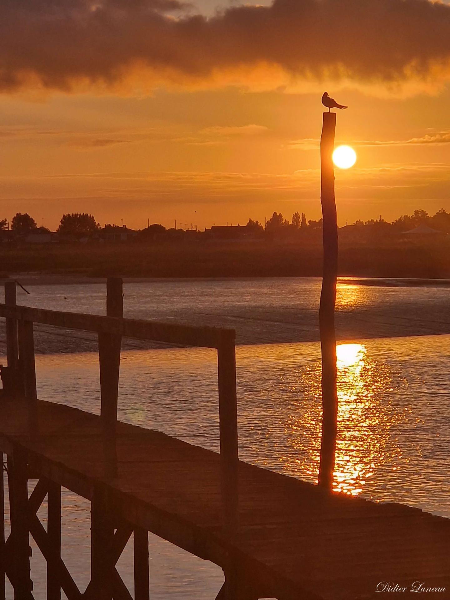 Didier luneau eau 2 signee